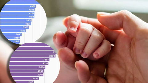 Istat: i nomi femminili e maschili più usati nel 2024 preview